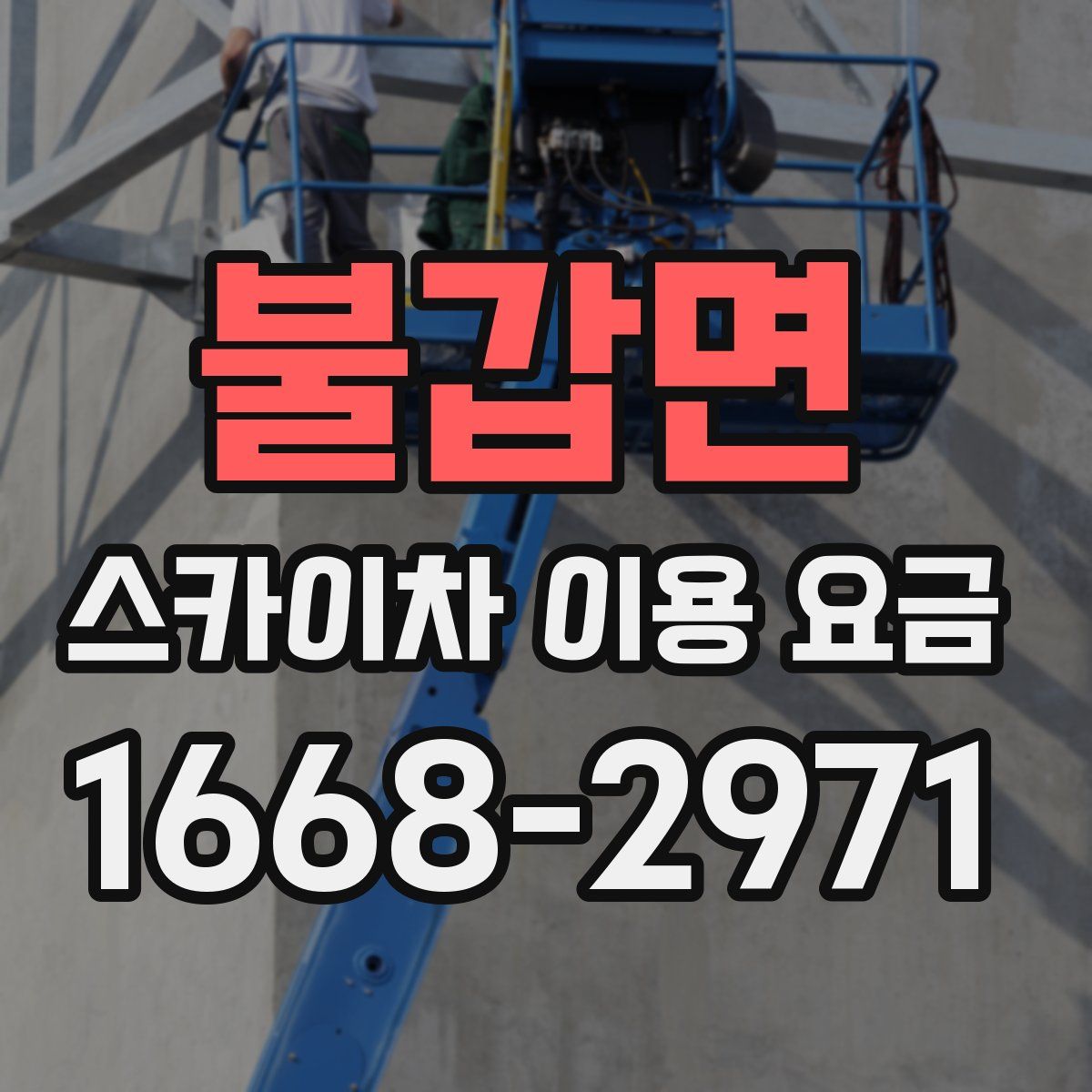 불갑면 스카이차 이용 요금