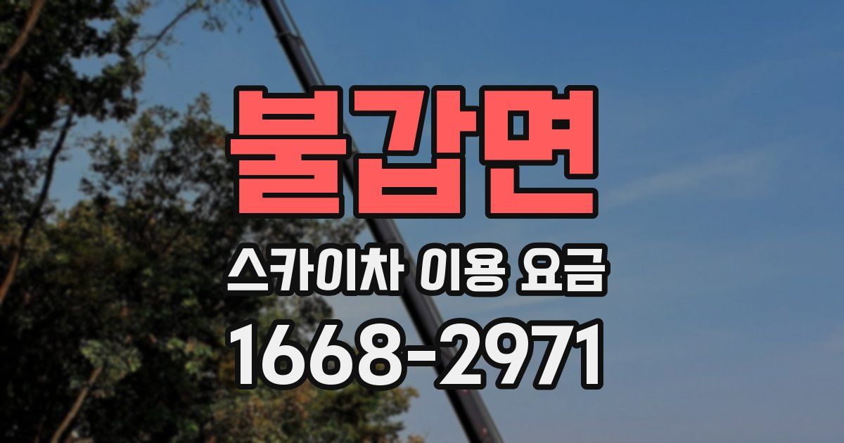 불갑면 스카이차 이용 요금