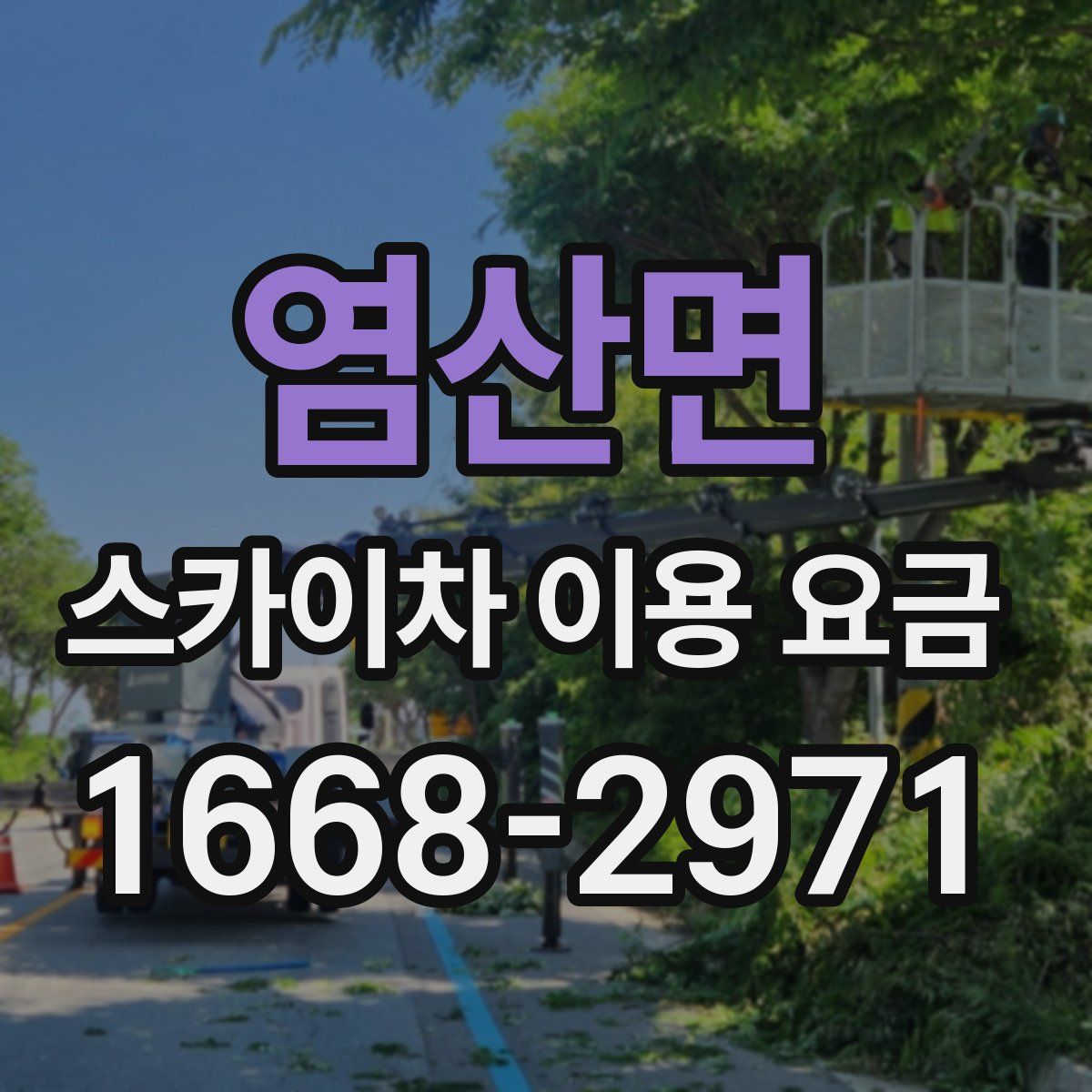 염산면 스카이차 이용 요금