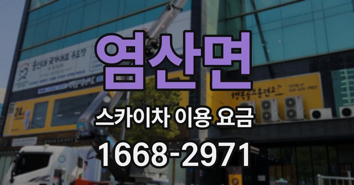 염산면 스카이차 이용 요금