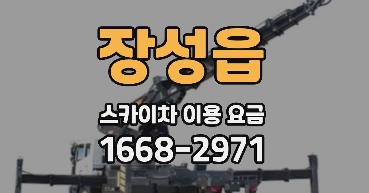 장성읍 스카이차 이용 요금