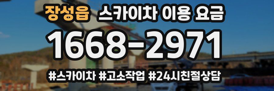 장성읍 스카이차 이용 요금