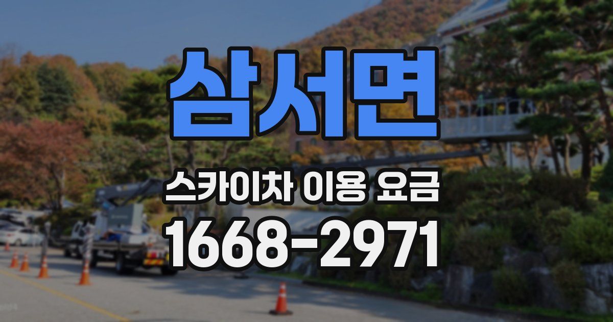 삼서면 스카이차 이용 요금