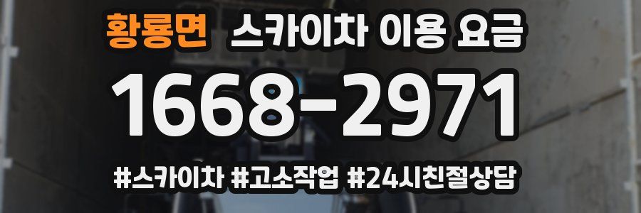 황룡면 스카이차 이용 요금