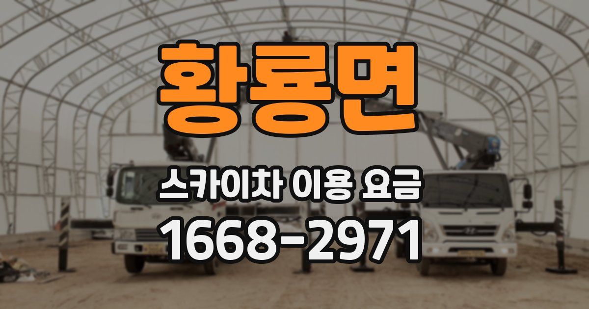 황룡면 스카이차 이용 요금