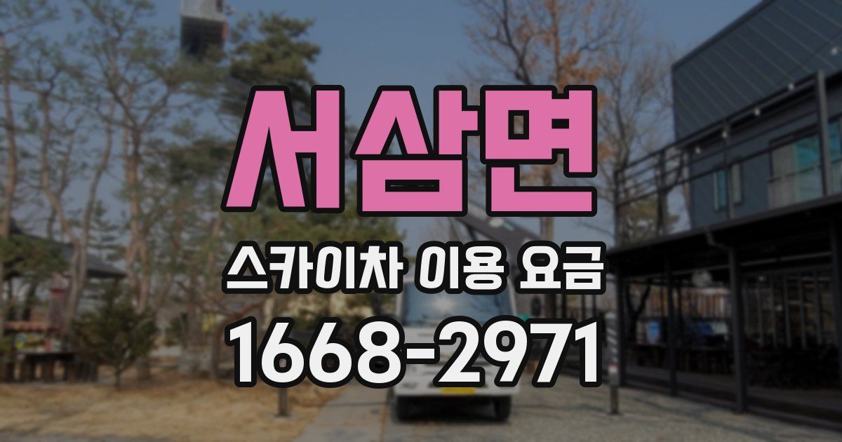 서삼면 스카이차 이용 요금