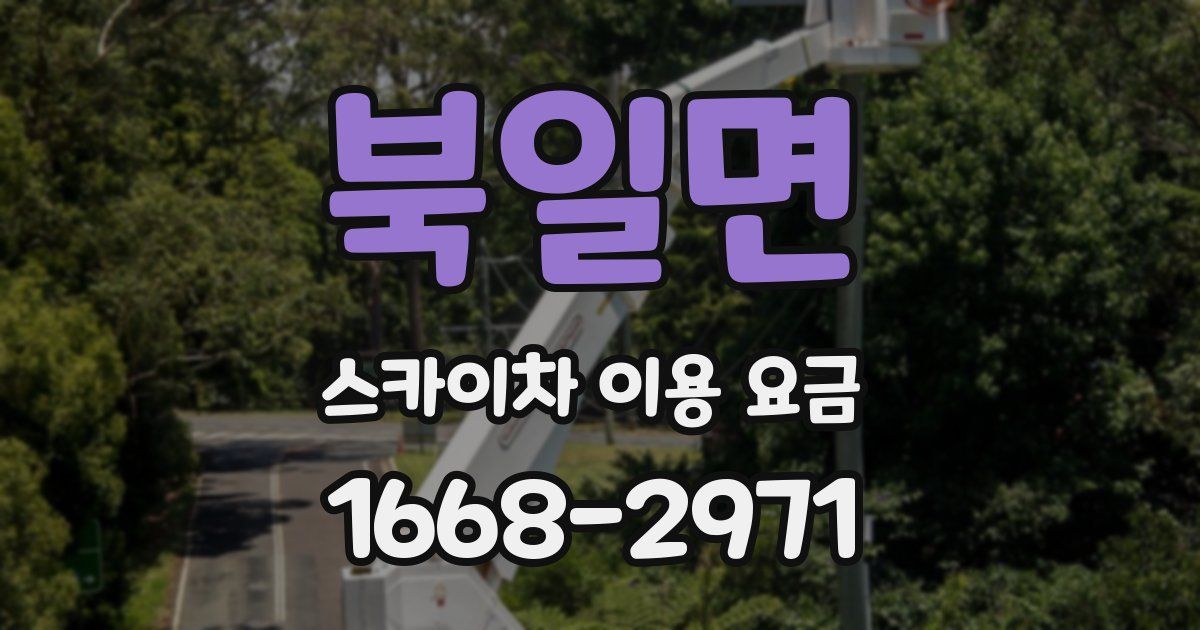 북일면 스카이차 이용 요금