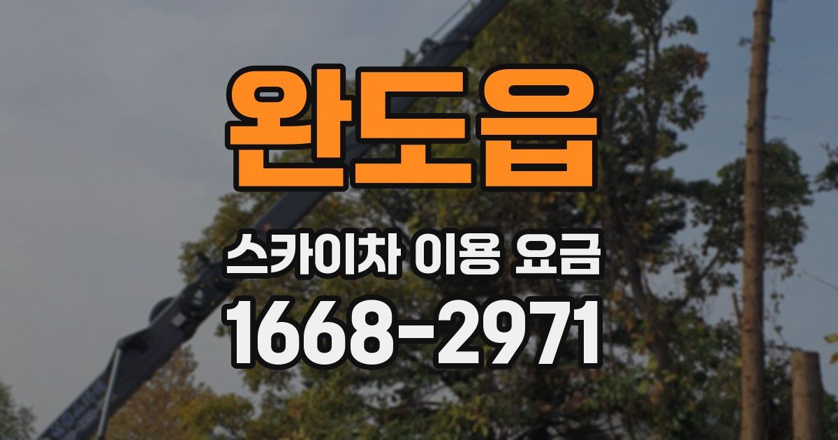 완도읍 스카이차 이용 요금
