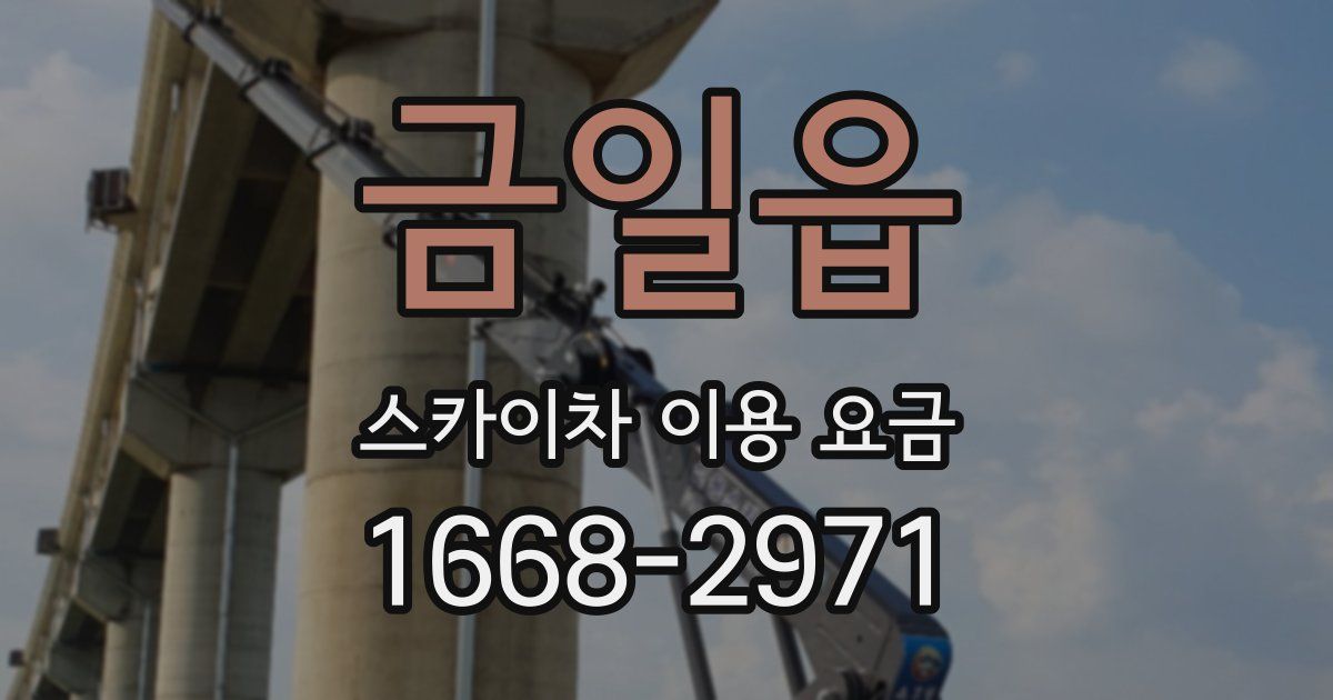 금일읍 스카이차 이용 요금
