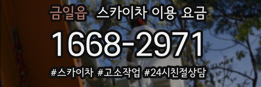금일읍 스카이차 이용 요금