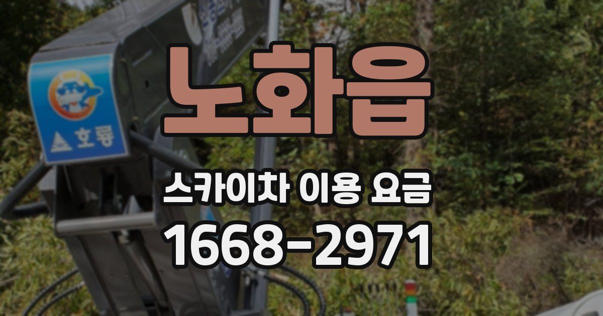 노화읍 스카이차 이용 요금