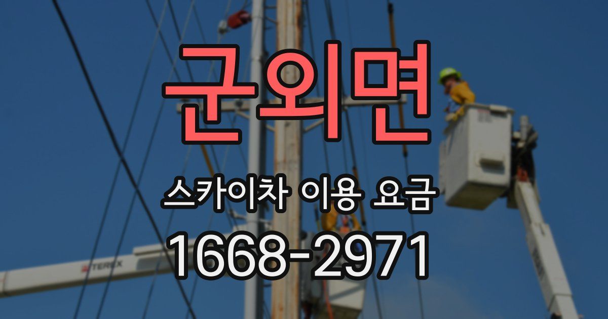 군외면 스카이차 이용 요금