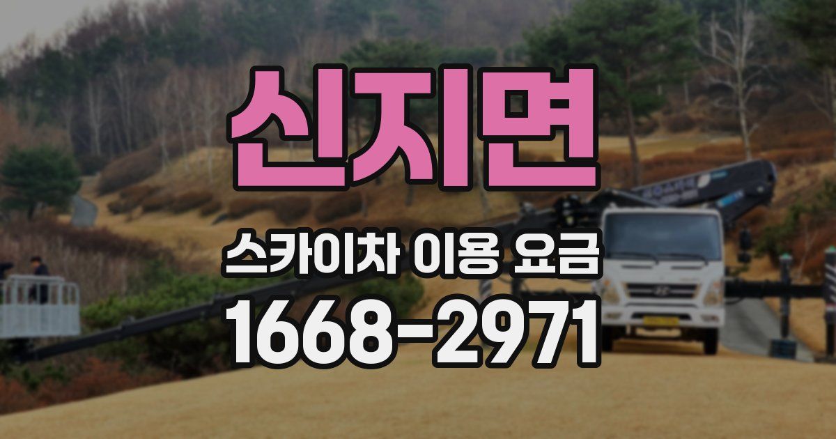 신지면 스카이차 이용 요금