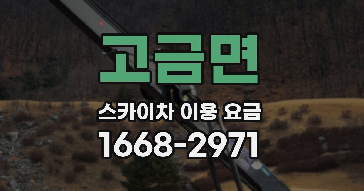 고금면 스카이차 이용 요금
