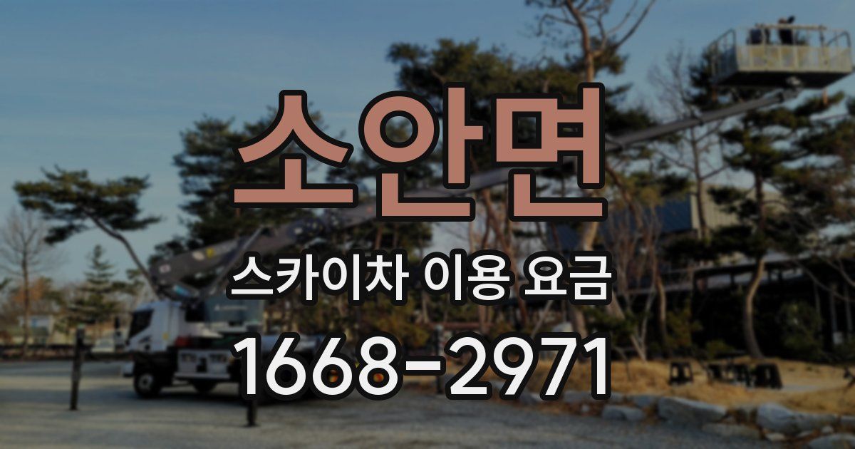 소안면 스카이차 이용 요금