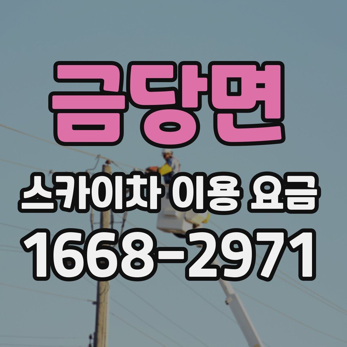 금당면 스카이차 이용 요금 비교를 위한 현실적인 기준