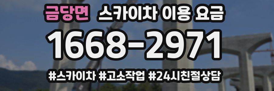 금당면 스카이차 이용 요금