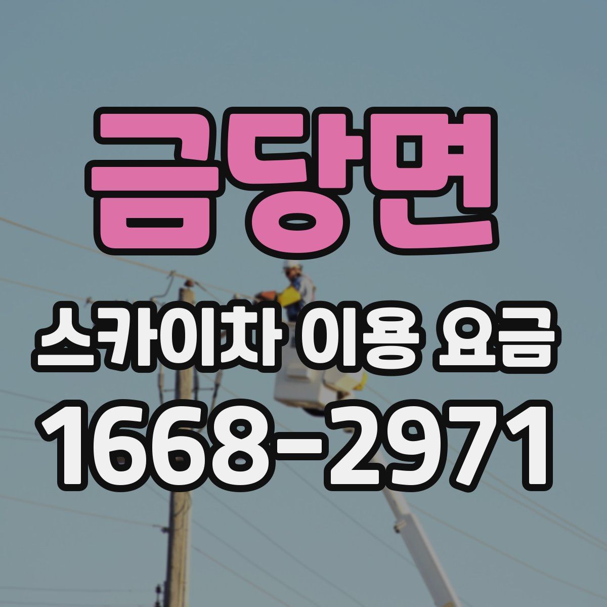 금당면 스카이차 이용 요금