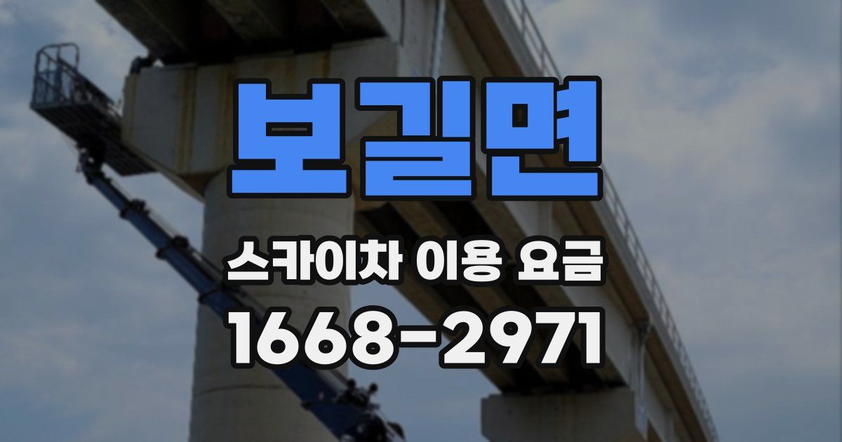보길면 스카이차 이용 요금
