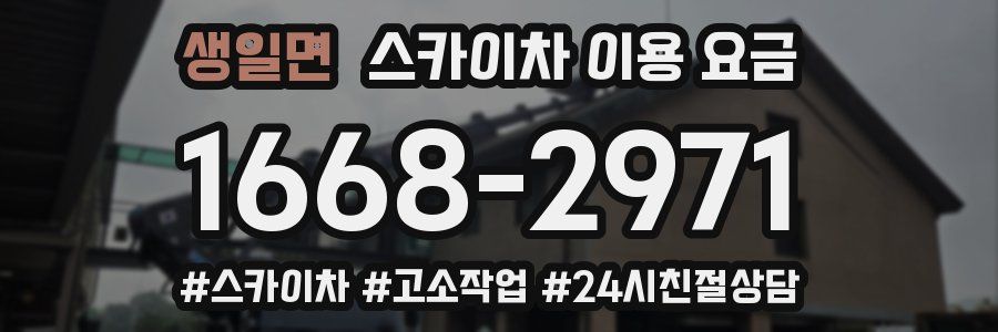 생일면 스카이차 이용 요금