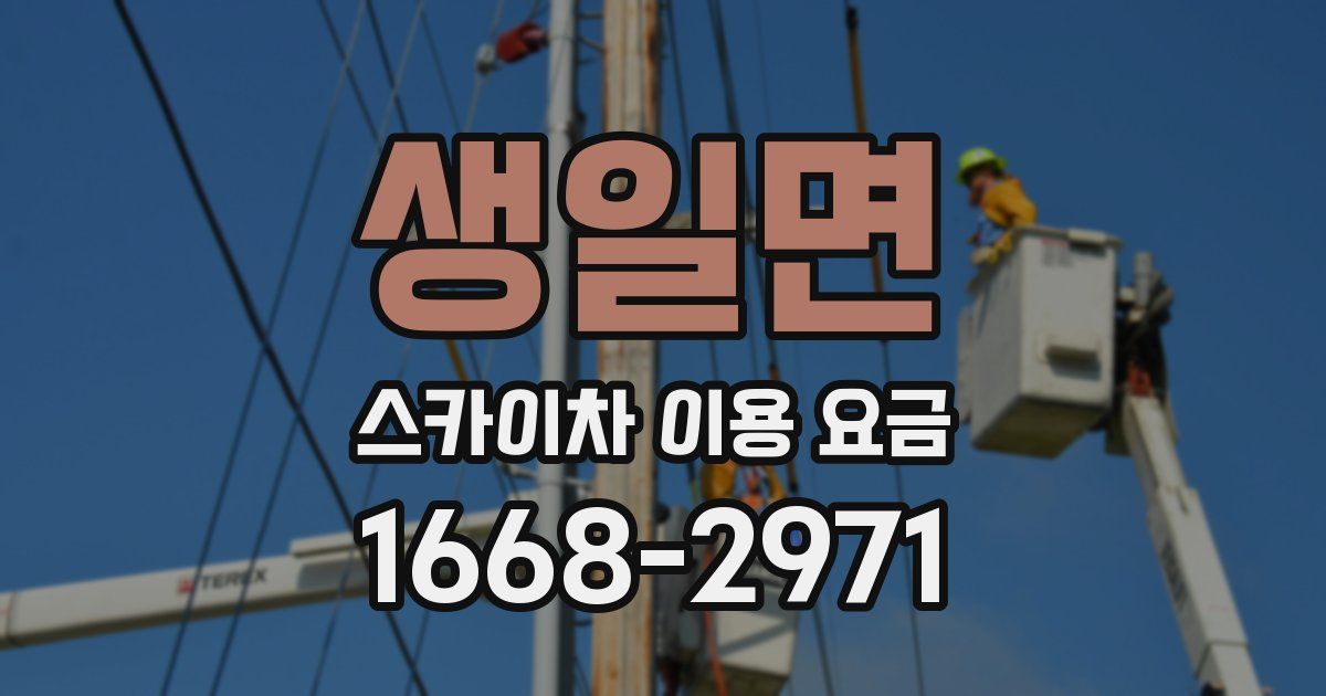생일면 스카이차 이용 요금