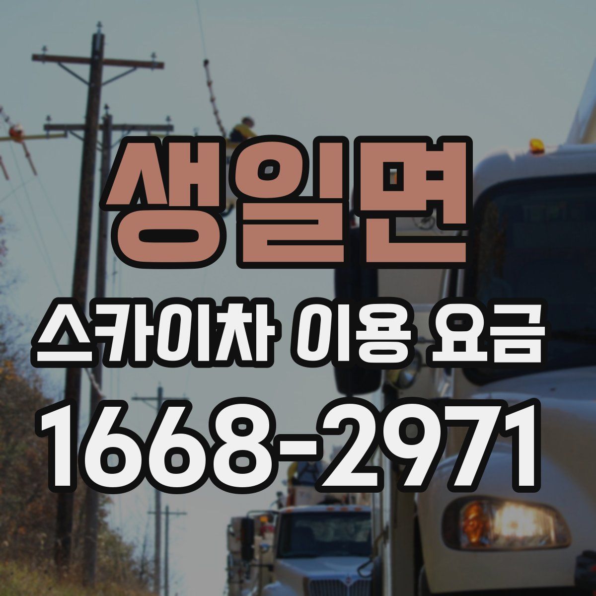 생일면 스카이차 이용 요금