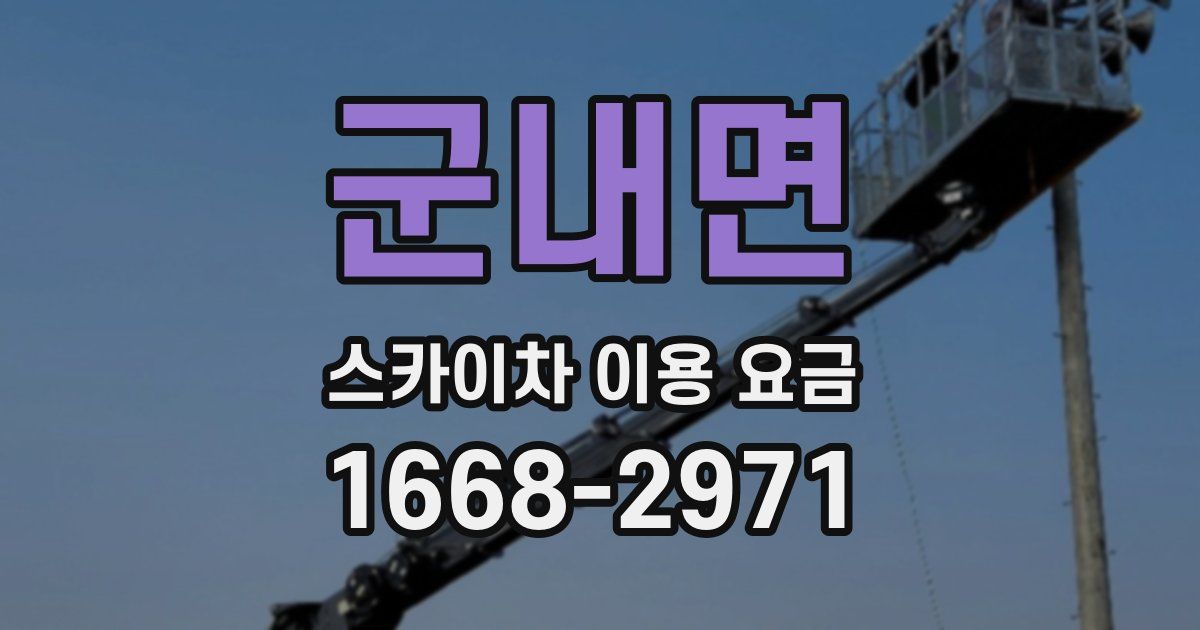 군내면 스카이차 이용 요금