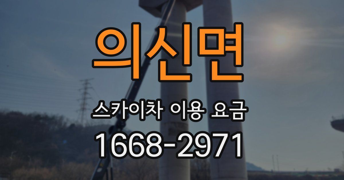 의신면 스카이차 이용 요금