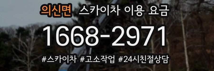 의신면 스카이차 이용 요금