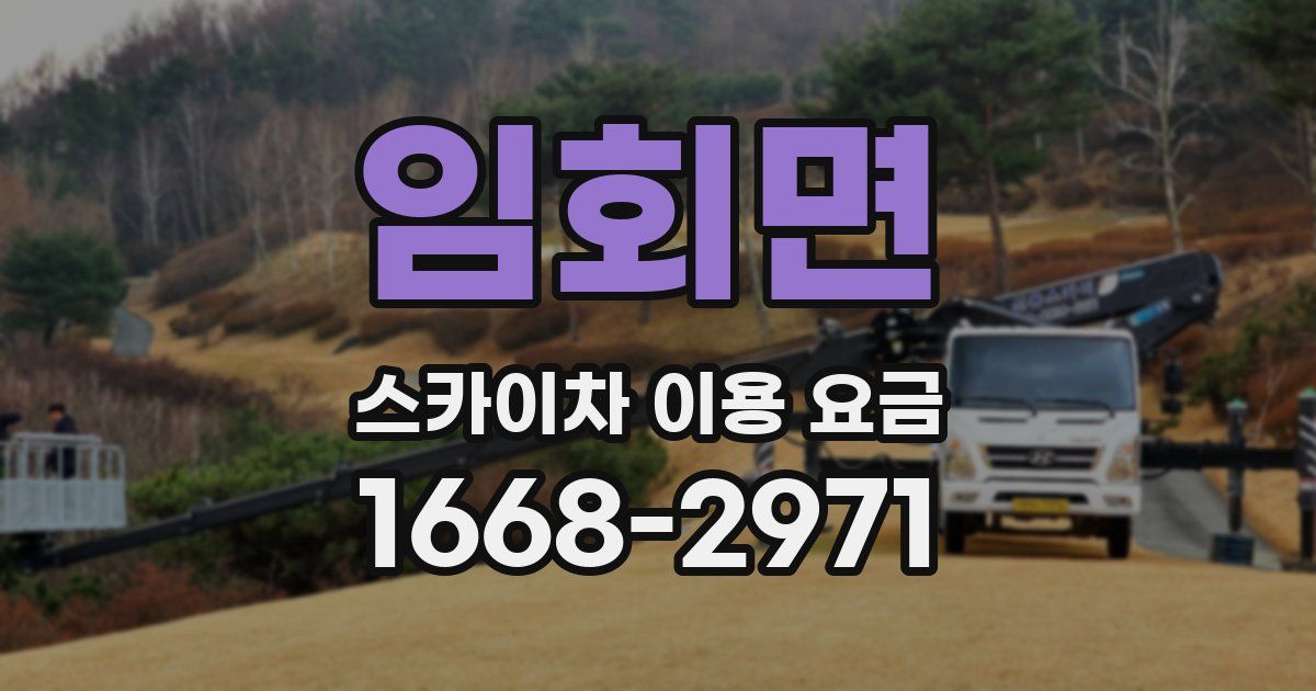 임회면 스카이차 이용 요금