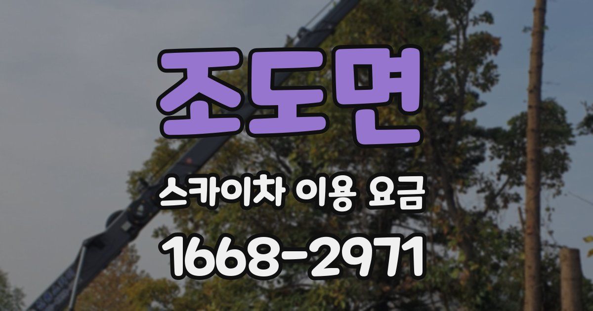 조도면 스카이차 이용 요금