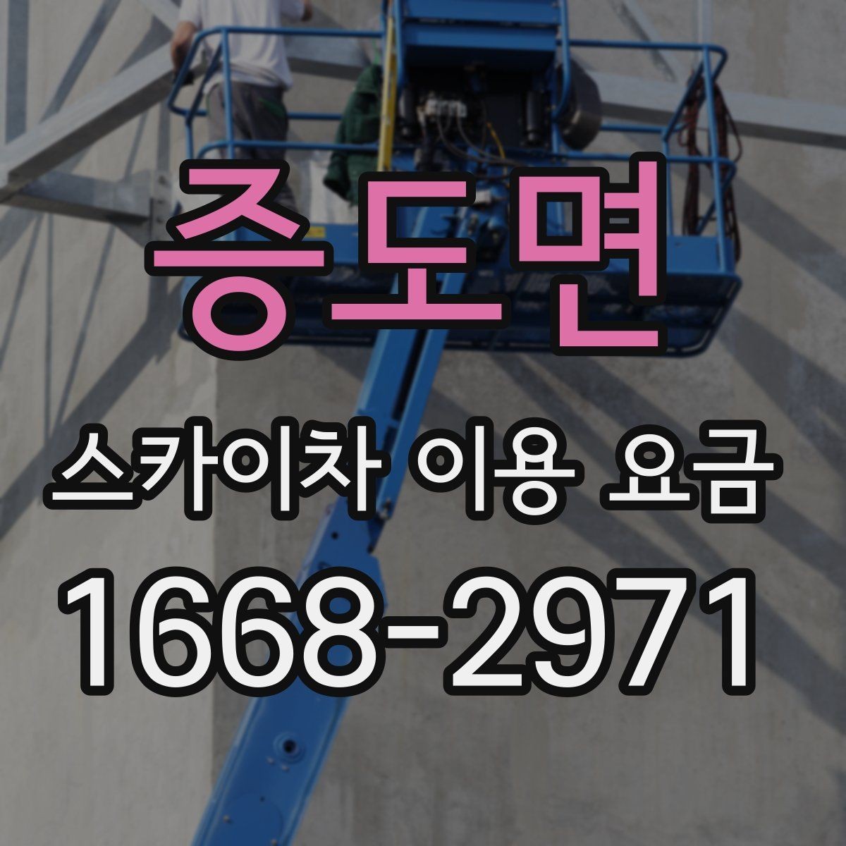 증도면 스카이차 이용 요금 비교, 가격만 보면 안 되는 이유