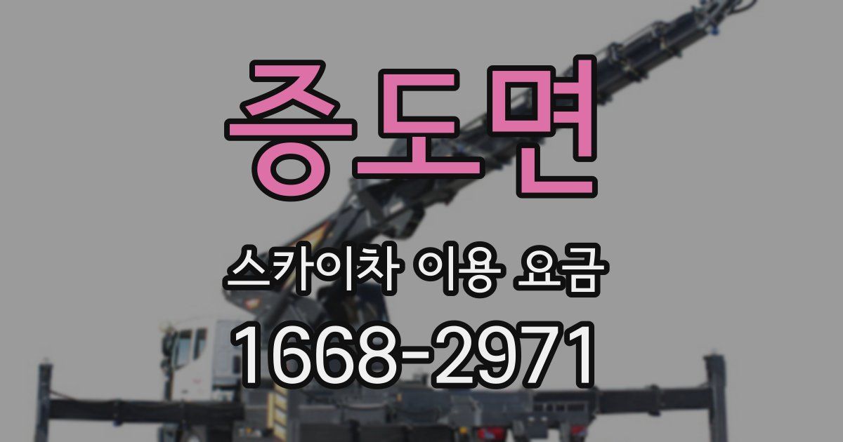 증도면 스카이차 이용 요금