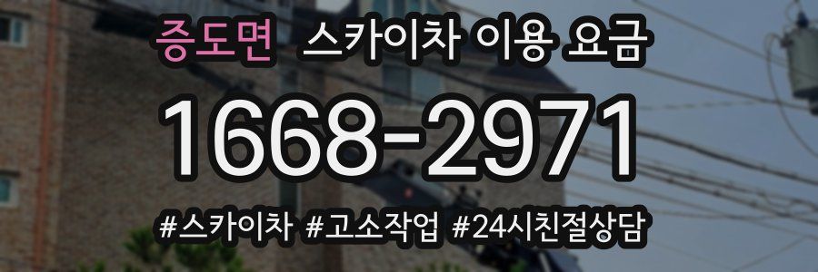 증도면 스카이차 이용 요금
