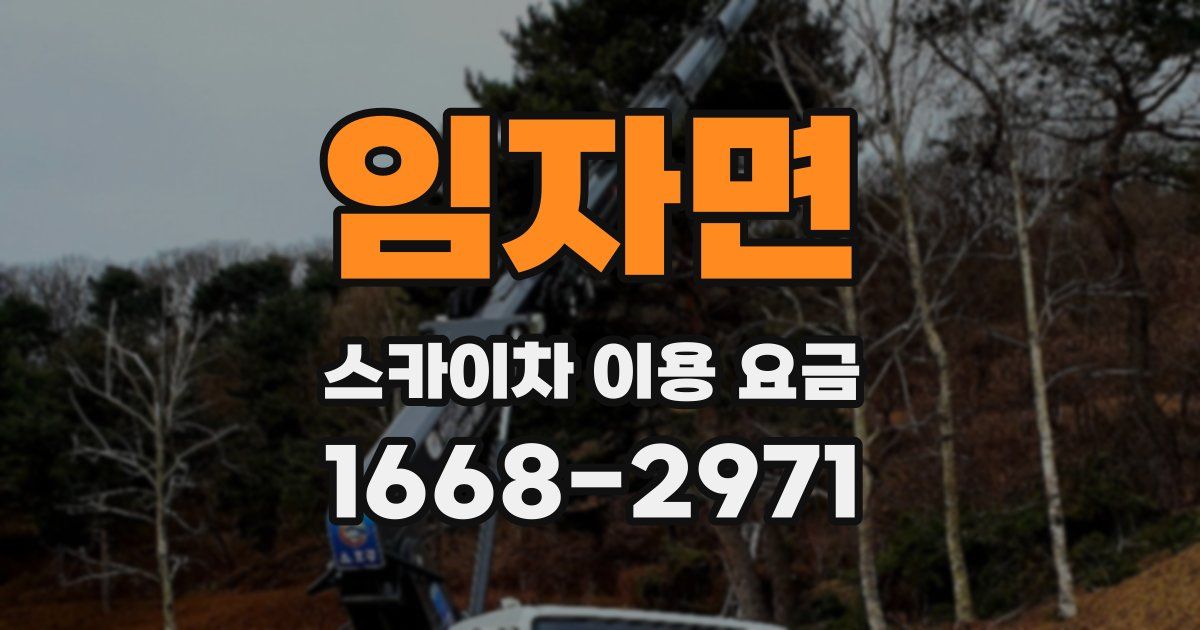 임자면 스카이차 이용 요금