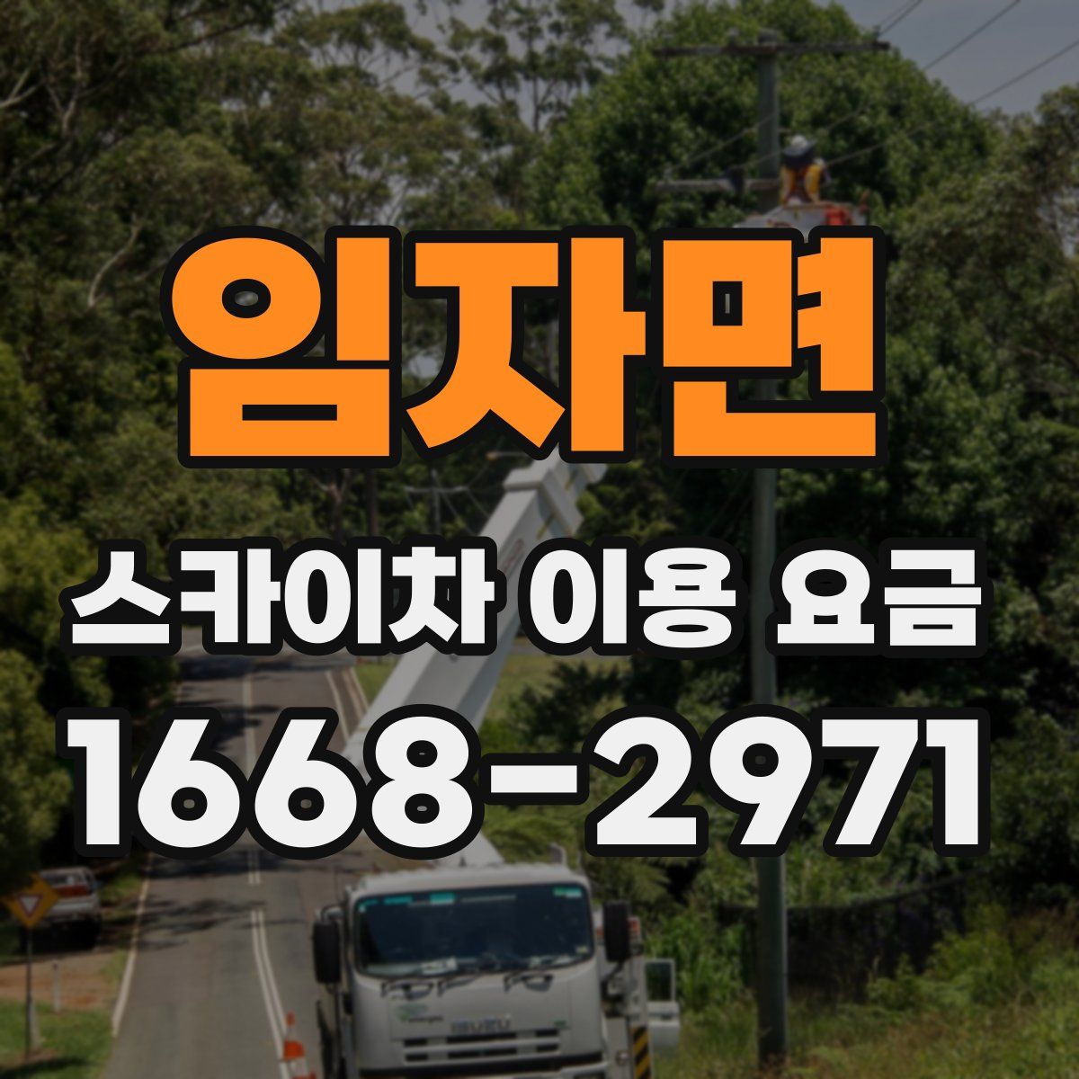 임자면 스카이차 이용 요금