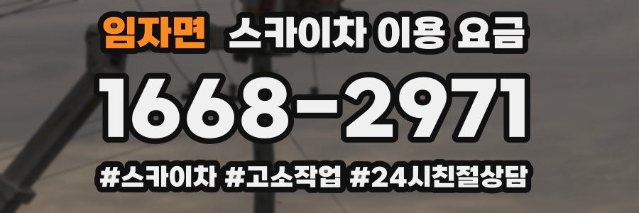 임자면 스카이차 이용 요금