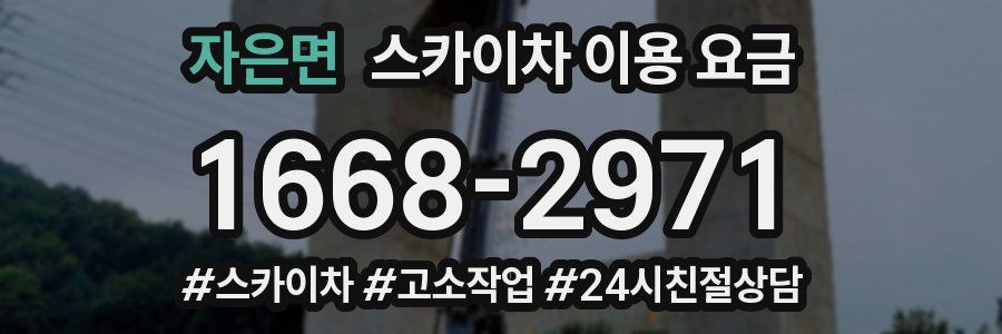 자은면 스카이차 이용 요금