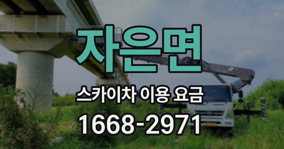 자은면 스카이차 이용 요금