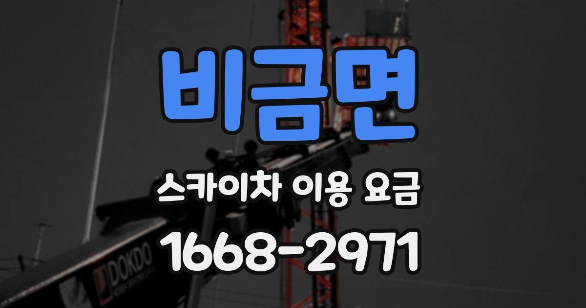 비금면 스카이차 이용 요금