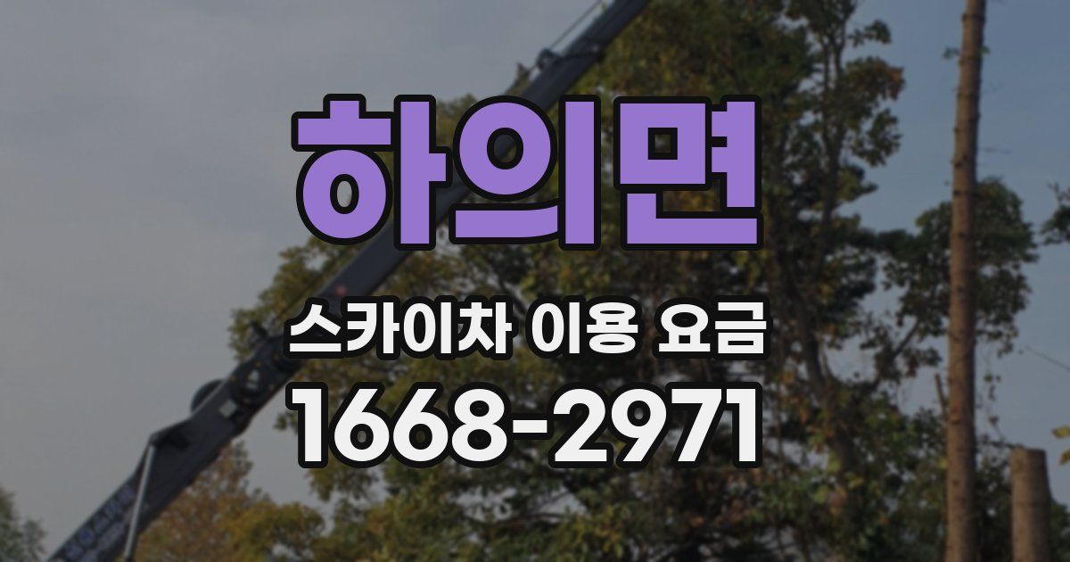 하의면 스카이차 이용 요금