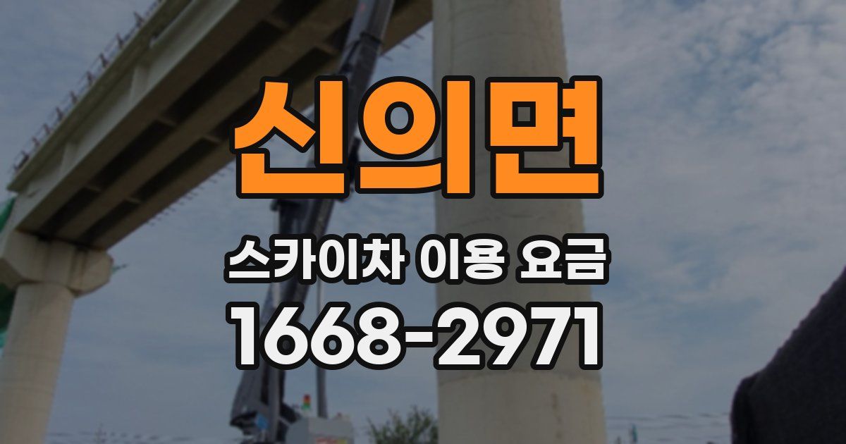 신의면 스카이차 이용 요금