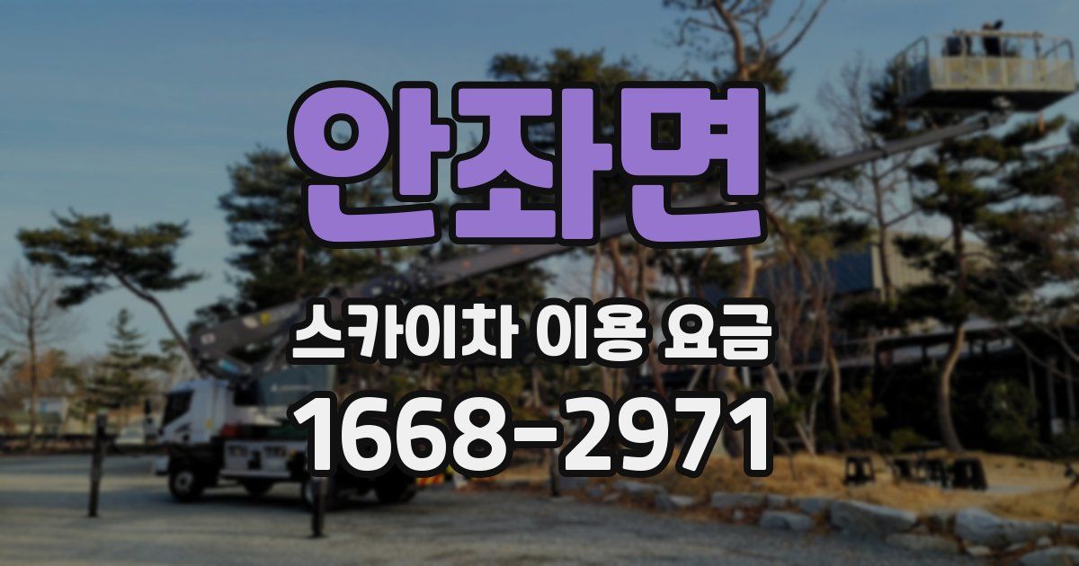 안좌면 스카이차 이용 요금