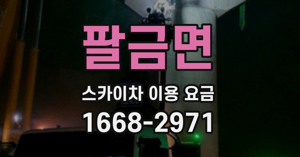 팔금면 스카이차 이용 요금