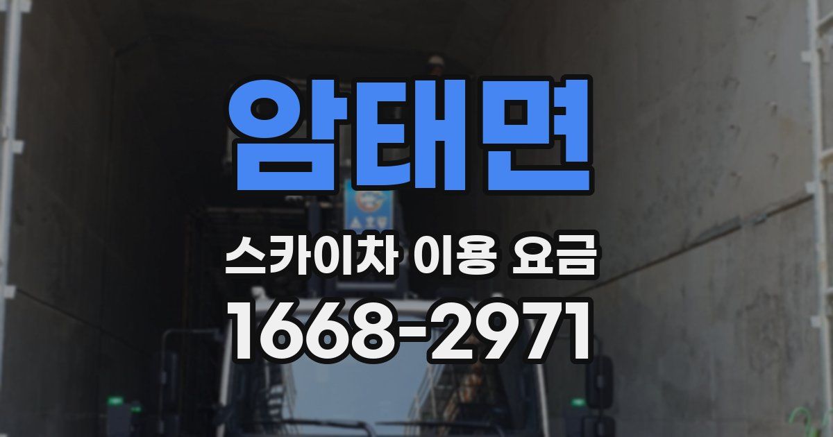 암태면 스카이차 이용 요금