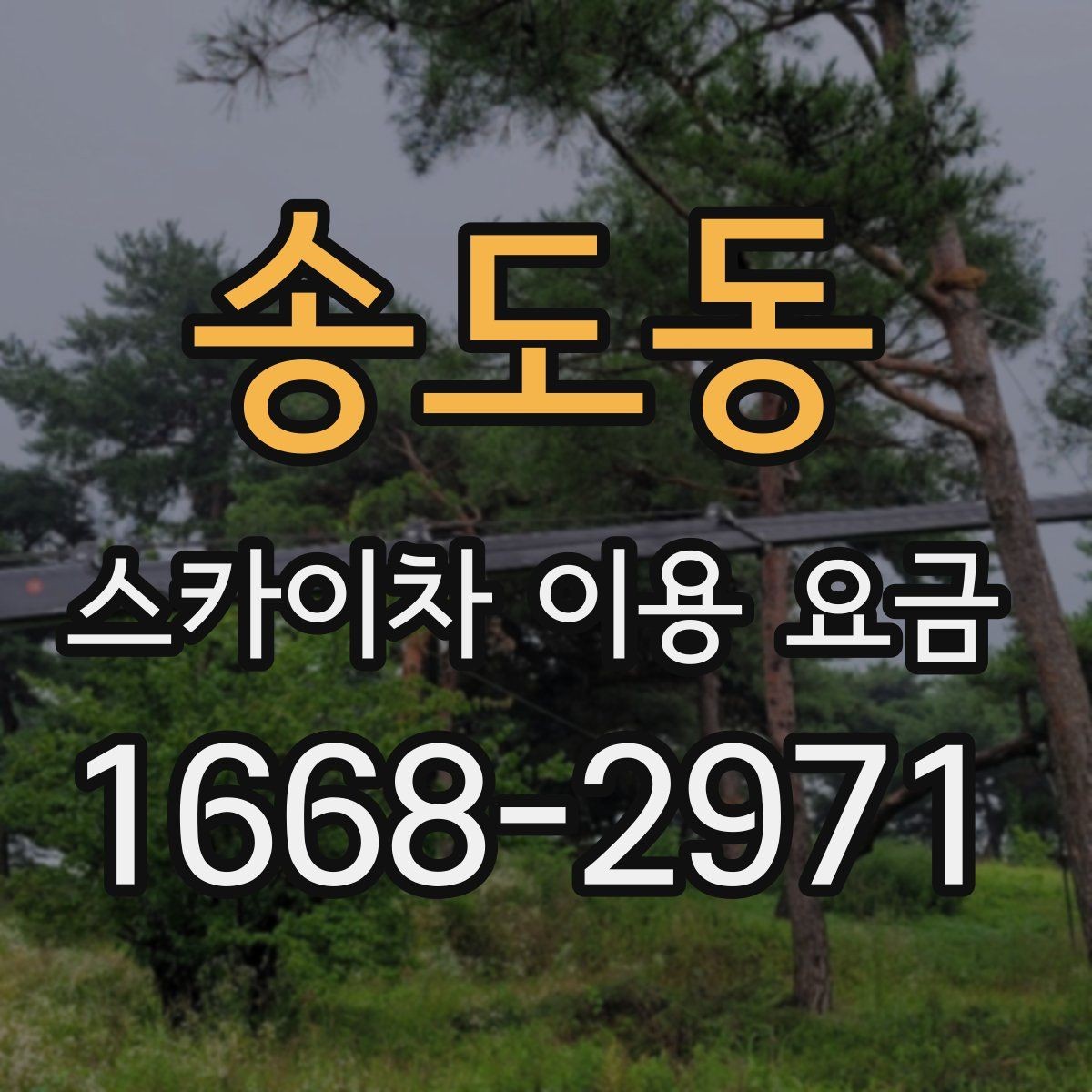 송도동 스카이차 이용 요금 안내를 참고할 때 실수하기 쉬운 점