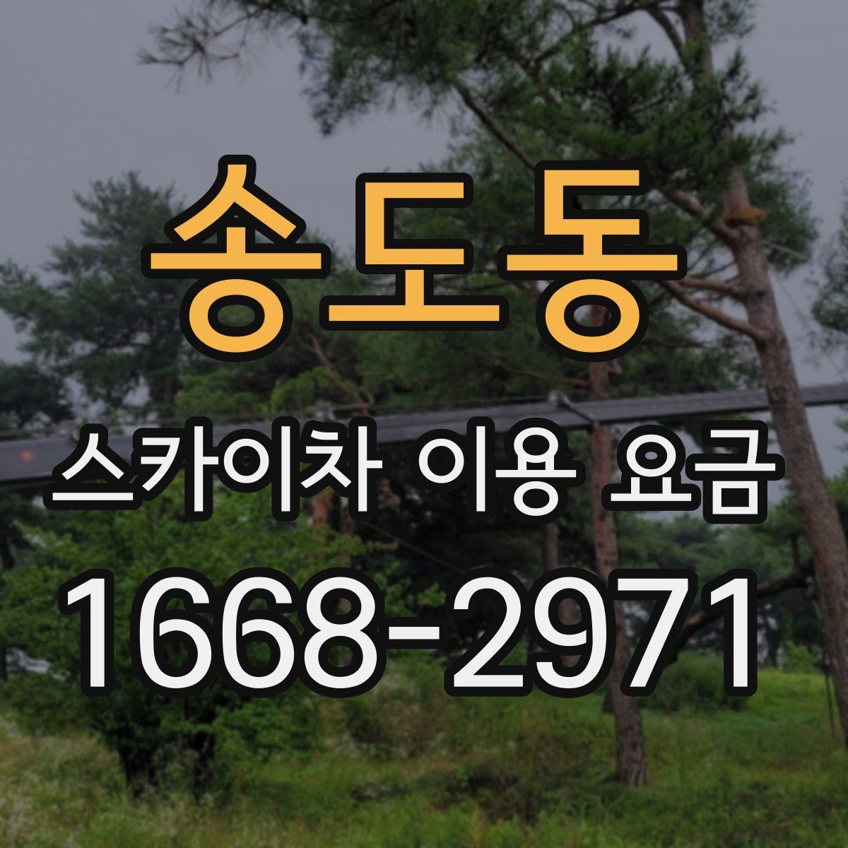 송도동 스카이차 이용 요금