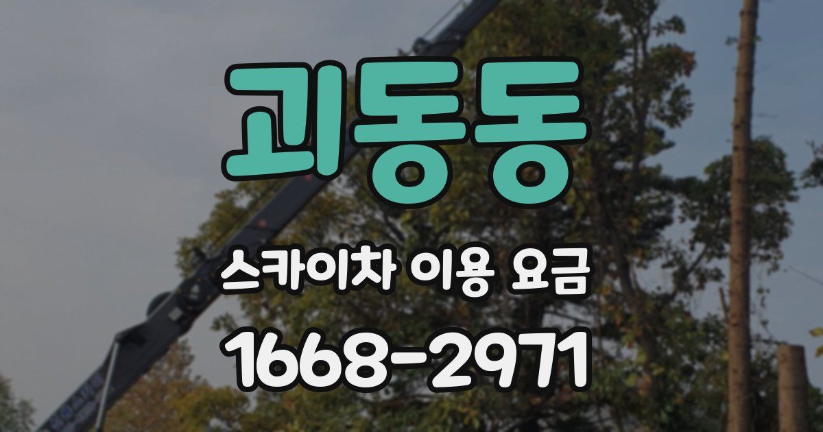 괴동동 스카이차 이용 요금