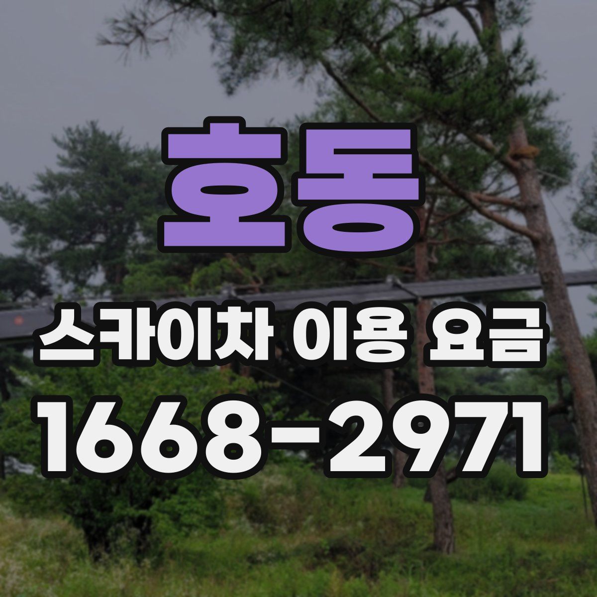 호동 스카이차 이용 요금