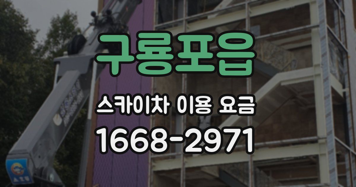 구룡포읍 스카이차 이용 요금